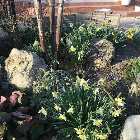 Super Maison 5 Pieces Avec Jardin *