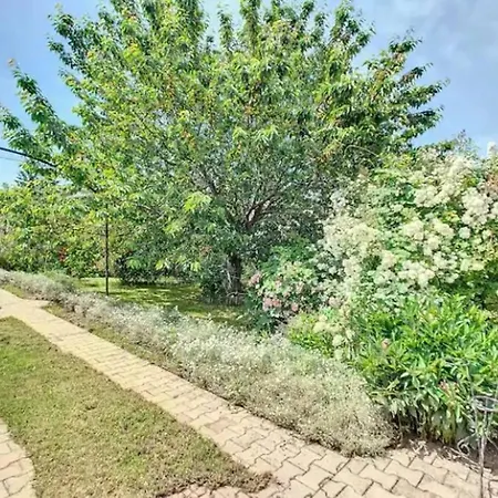 Super Maison 5 Pieces Avec Jardin Villa