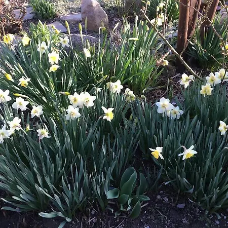 Villa Super Maison 5 Pieces Avec Jardin *