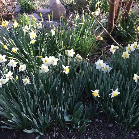 Super Maison 5 Pieces Avec Jardin Вилла