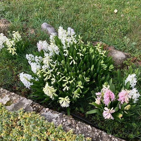 Villa Super Maison 5 Pieces Avec Jardin Digne-les-Bains