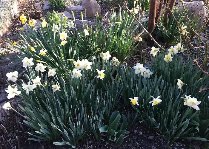 Villa Super Maison 5 Pieces Avec Jardin *