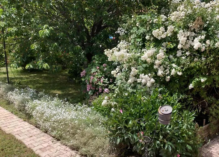 Villa Super Maison 5 Pieces Avec Jardin Digne-les-Bains