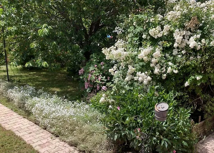 Super Maison 5 Pieces Avec Jardin * Digne-les-Bains