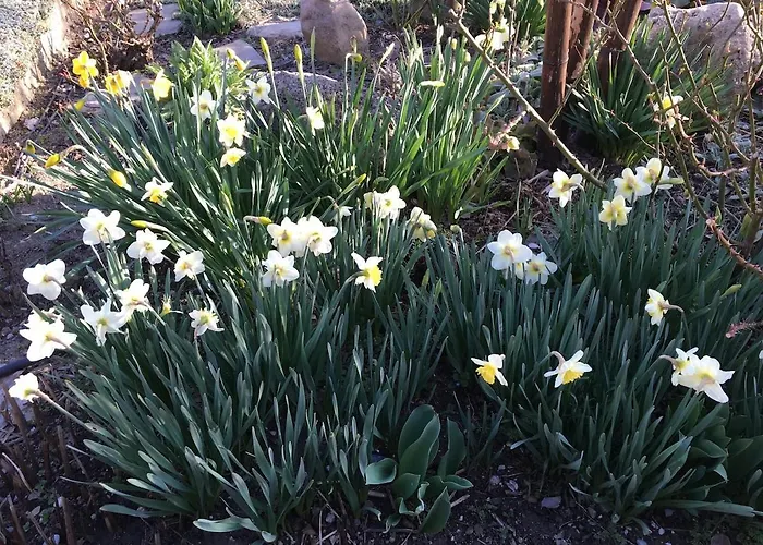 Super Maison 5 Pieces Avec Jardin Вилла