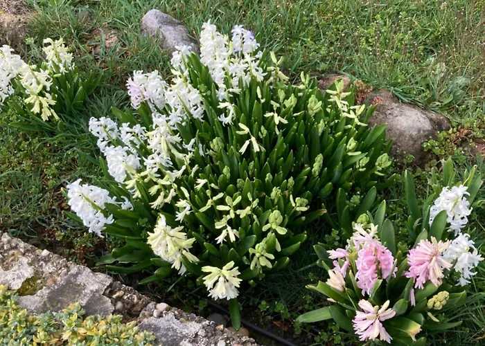 Villa Super Maison 5 Pieces Avec Jardin Digne-les-Bains